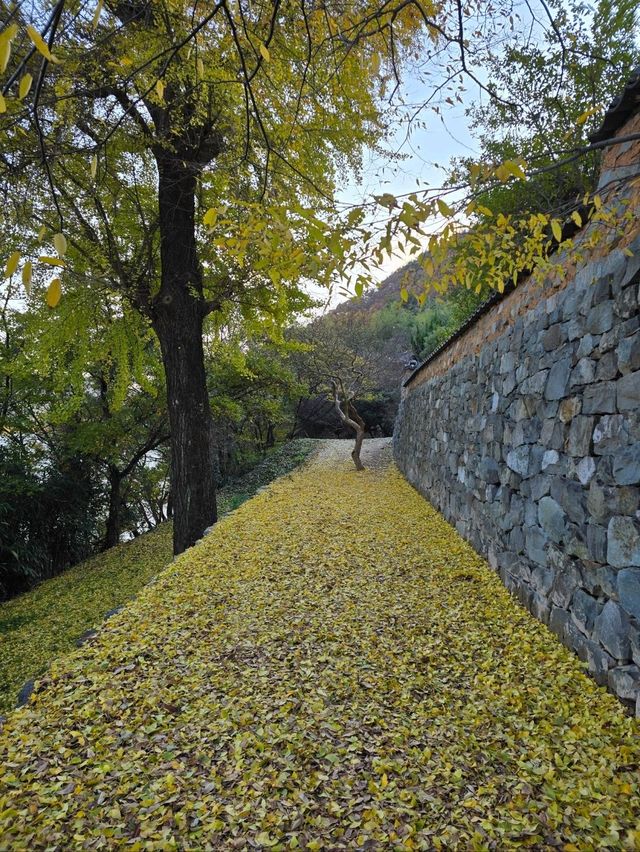 밀양에서 보낸 아름다운 가을의 마무리💛