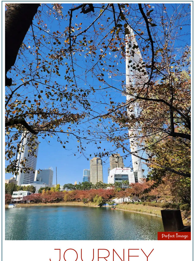 令人目不暇給的秋天美景