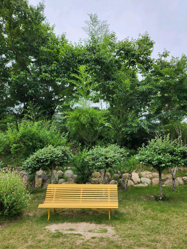 숲속의 부산🧸🍁기장대형카페 추천 아틀리에 은유재