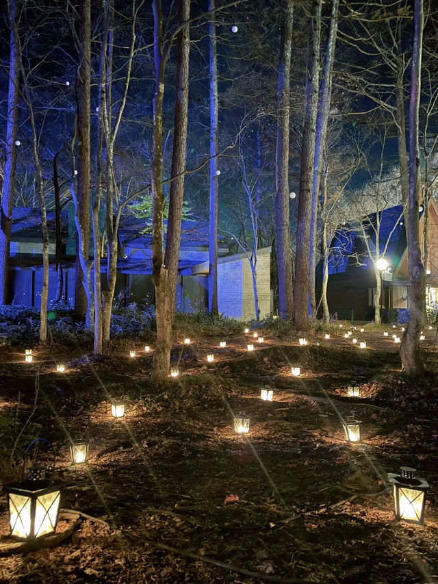 【軽井沢】キャンドルランタンの世界へ🕯おすすめクリスマスイルミネーション