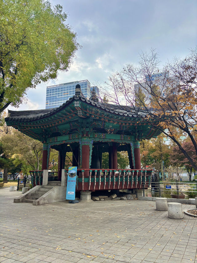 2021년 국가 유산보물로 선정된 대구 경상감영공원✨💛
