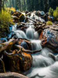 A Guide to Chasing Waterfalls in Yoho National Park