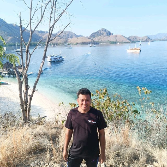 hopping & hopping & hopping 