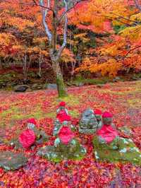 山口県古刹😊紅葉名所🍁大寧寺🍁たいねいじ