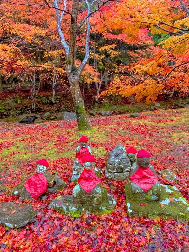 山口県古刹😊紅葉名所🍁大寧寺🍁たいねいじ