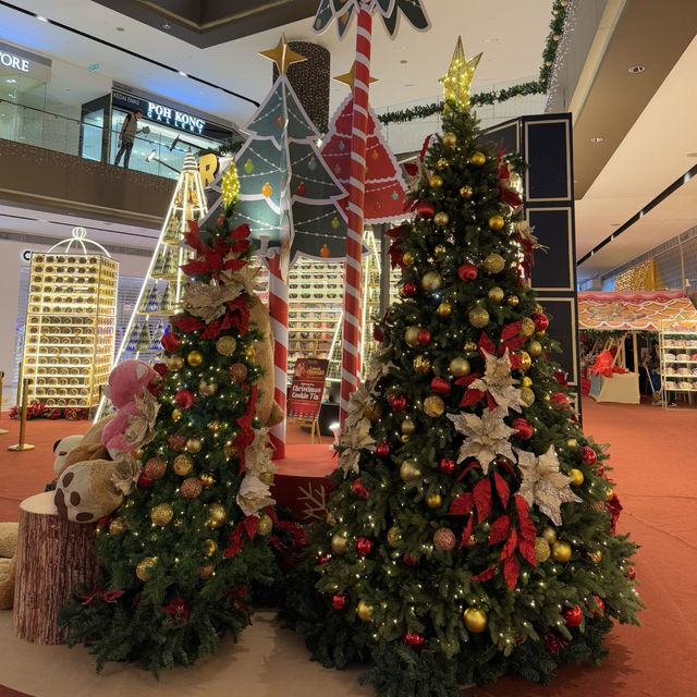 Teddies, Trees, and Twinkling Lights—Christmas Fun Awaits!” 🎁