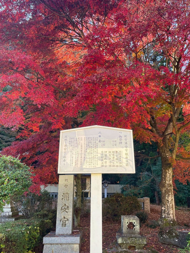 仙台観光におすすめ！切り絵御朱印がかわいい⛩️ 宮城縣護國神社
