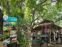 ตลาดเช้าแห่งธรรมชาติและวัฒนธรรมที่สวนผึ้ง