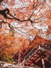 【奈良の談山神社】紅葉と歴史の絶景に感動間違いなし！