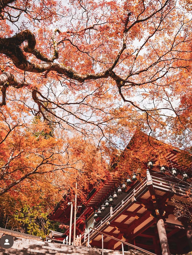 【奈良の談山神社】紅葉と歴史の絶景に感動間違いなし！