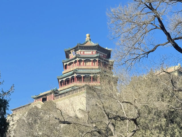 🌸 Explore the Elegance of Summer Palace