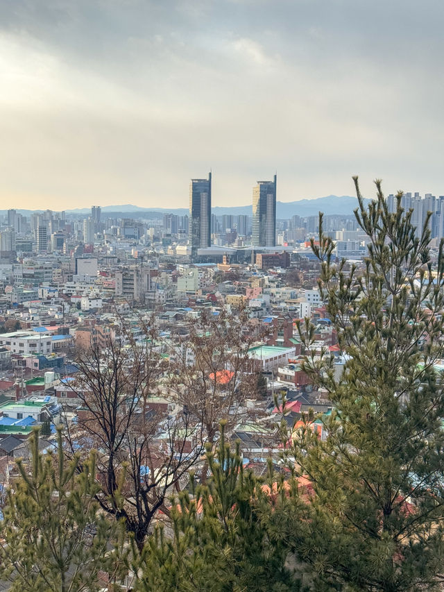 대전 뷰좋은 산책 코스 ‘대동하늘공원’