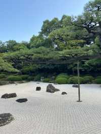 Matcha sweets that perfectly match the Japanese garden