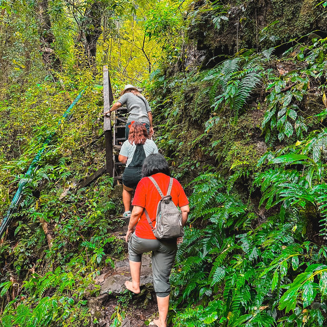 น้ำตกแม่ปาน (Mae Pan Waterfall) เชียงใหม่