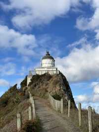 Hiking to the Edge: The Scenic Adventure to Nugget Point Lighthouse
