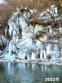 【秩父の冬の風物詩】三大氷柱   「三十槌の氷柱」天然はこちらだけ！