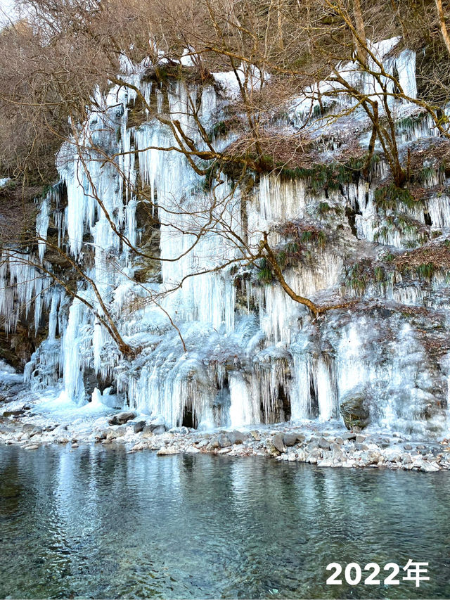 【秩父の冬の風物詩】三大氷柱   「三十槌の氷柱」天然はこちらだけ！