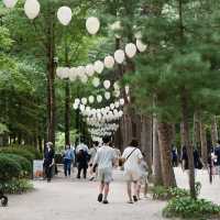 PART 1 | NAMI ISLAND ADVENTURE : ESCAPE TO KOREA'S NATURAL PARADISE