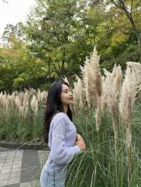 가을에 가기 좋은 곳