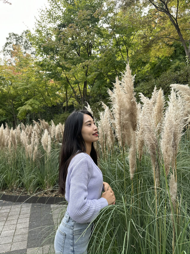 가을에 가기 좋은 곳