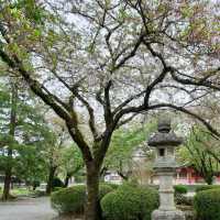 Fujinomiya เมืองน่ารักที่มองเห็นฟูจิซังแบบเต็มตา
