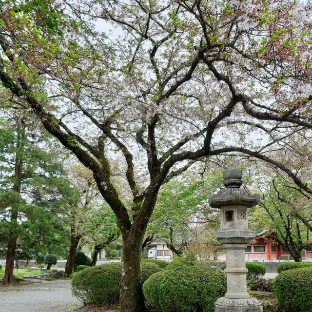 Fujinomiya เมืองน่ารักที่มองเห็นฟูจิซังแบบเต็มตา