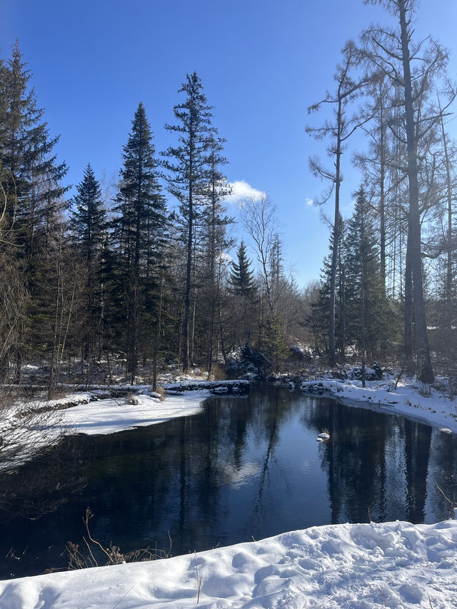 Discovering Changbai Mountain: A Beginner’s Ski Paradise