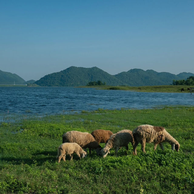 “ปราณบุรี”มุมนี้ทั้งสวยทั้งชิลฟีลตปทมากกก🐑🏞🐐 