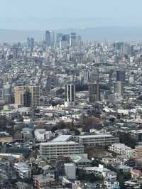 Ascend A Nagoya Landmark, The Higashiyama Sky Tower 🗼🏙️🇯🇵