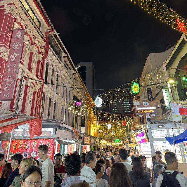 Serpent Splendor: A Glimpse of Singapore’s Chinatown Festive Charm