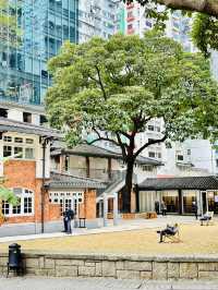 🇭🇰 鬧市中的古老建築，有小植物園草地，還可以睡覺🤣