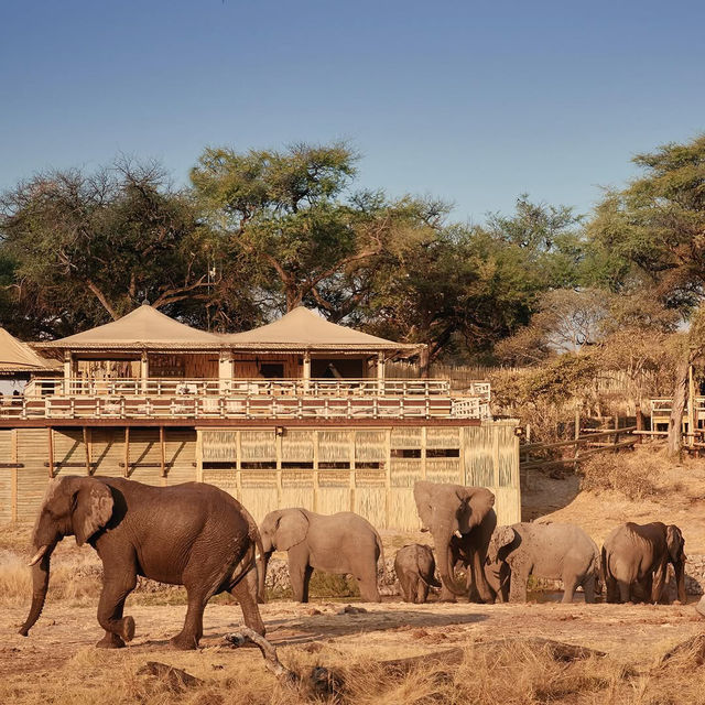 Eagle Island Lodge, A Belmond Safari, Botswana