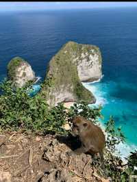 Nusa Penida in Bali 🇮🇩