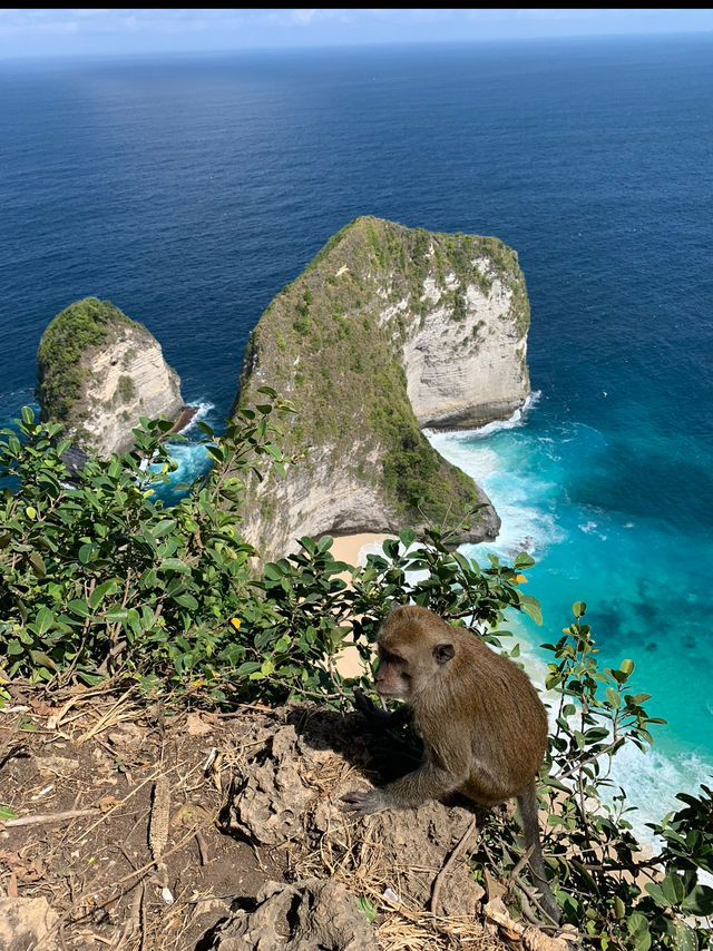 Nusa Penida in Bali 🇮🇩