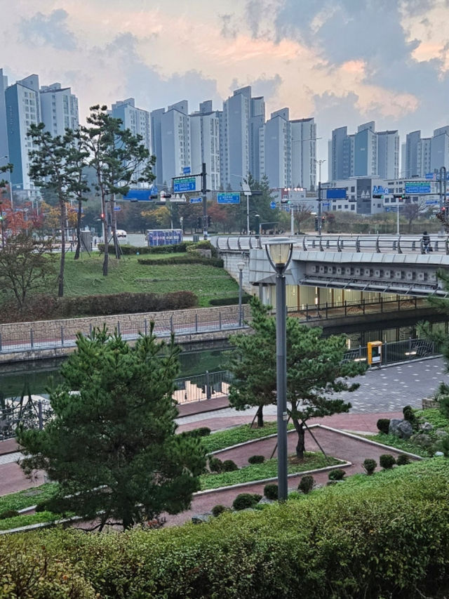 김포에서 만나는 한국판 베네치아✨