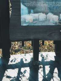 情侶必去！浪漫滿分的大邱八公山