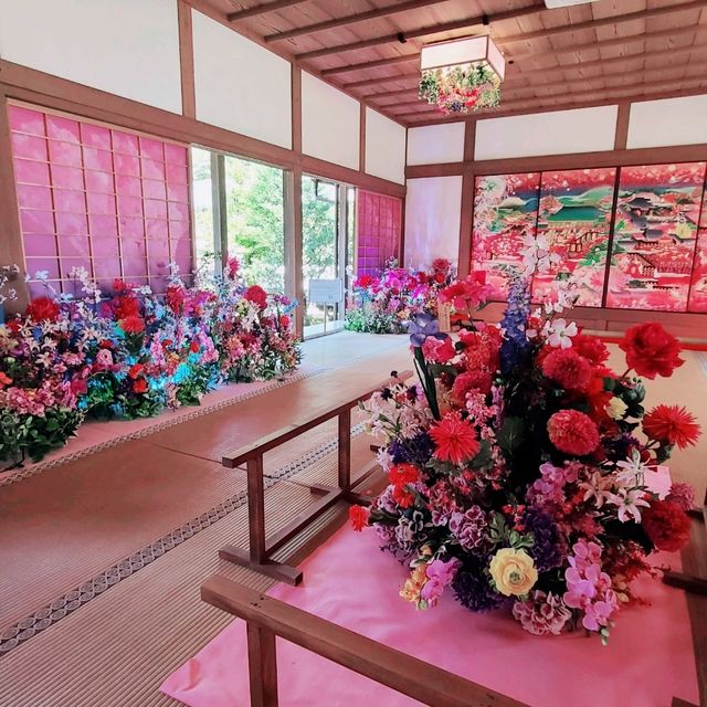 京都⛩️　隨心院🪷フォトジェニックスポット