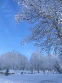 Winter Kamchatka is something special