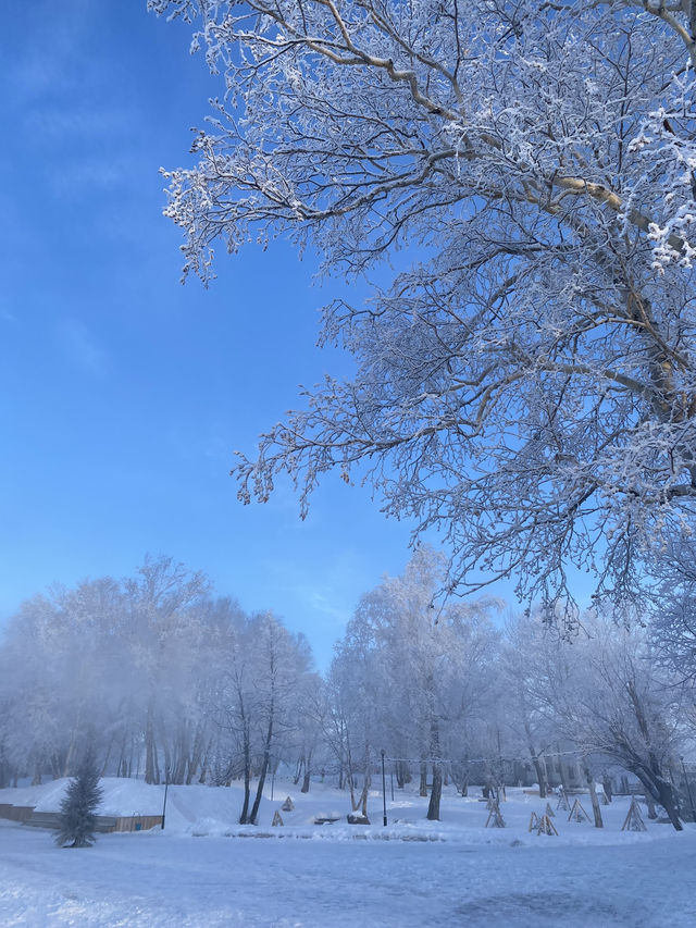 Winter Kamchatka is something special