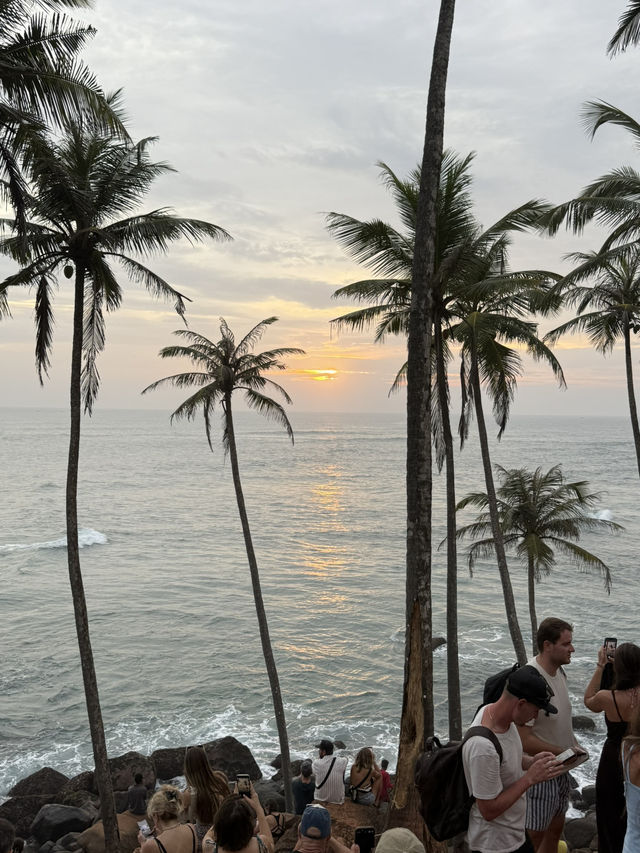 Where Serendipity Meets Splendour 