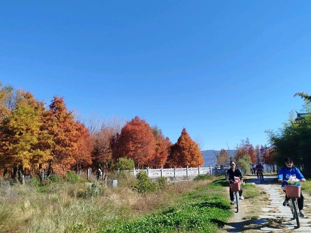 Dali, the most gentle place in Yunnan!