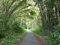 Malaysian Indigenous People Friendly Visit 