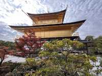 A Symphony of Colors — The Golden Glow of the Kinkakuji-Temple