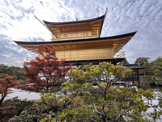 A Symphony of Colors — The Golden Glow of the Kinkakuji-Temple