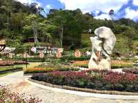 Frost-Kissed Floral Haven @Betong
