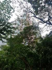 도심 속의 평화로운 공원 : 구룡공원(Kowloon Park)🇭🇰