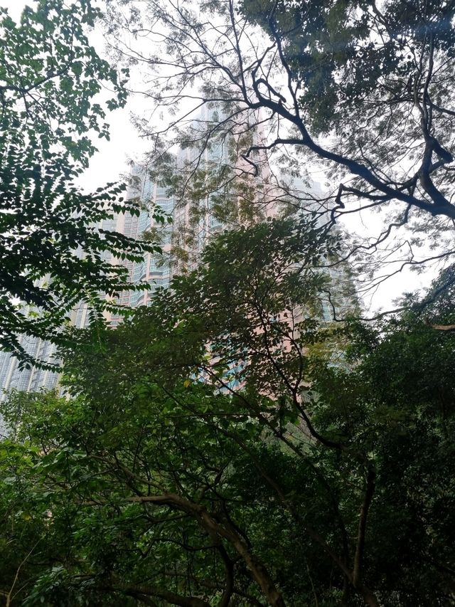 도심 속의 평화로운 공원 : 구룡공원(Kowloon Park)🇭🇰