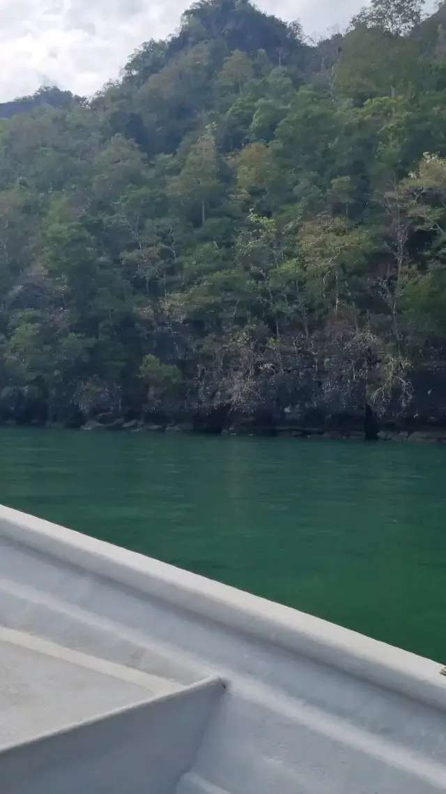 바다 위를 날아가는 듯한 기분! 🦅🌊
