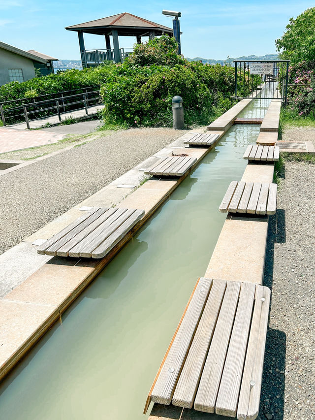 車なしでOK！桜島の観光スポット3つ