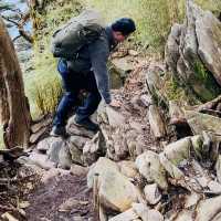 塔關山登山記-南橫三星的最美步道